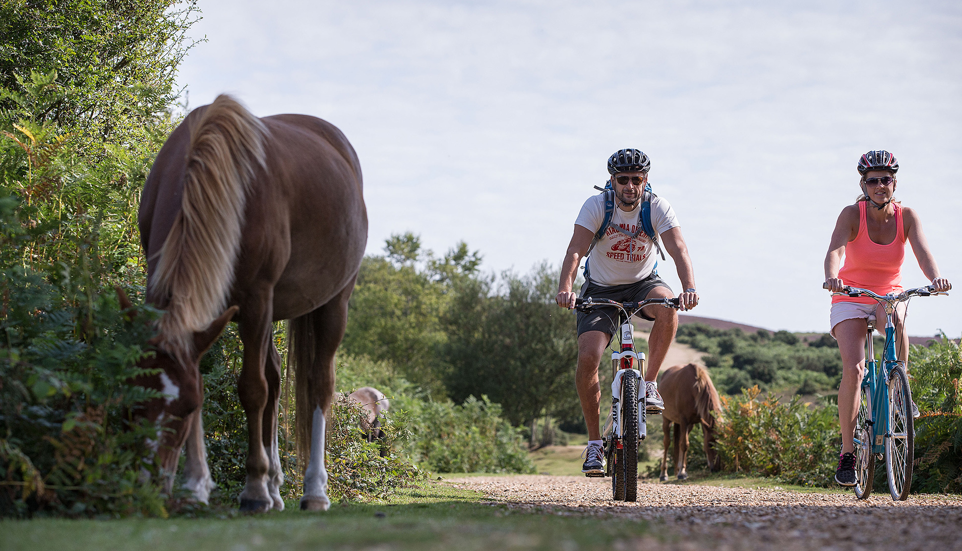 Cycling in the New Forest National Park